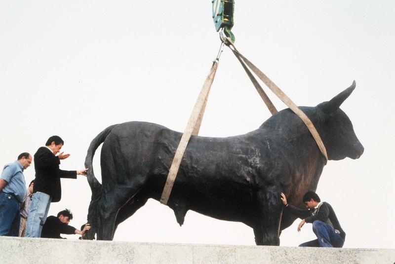 Toro embistiendo & Toro encampanado 5